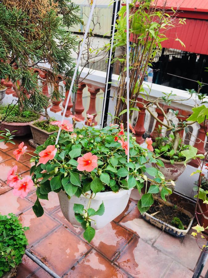 Lee'S Family Homestay Ханой Экстерьер фото